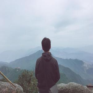 凌美启
